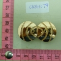 CKB11079