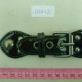CKB11170