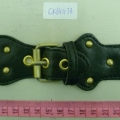 CKB11173