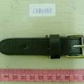 CKB11180