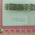 CKB11261