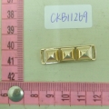 CKB11269