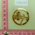 CKB11289