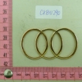 CKB11290