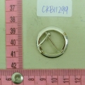 CKB11299