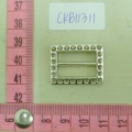 CKB11311