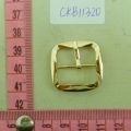 CKB11320