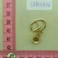 CKB11334