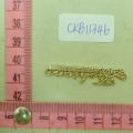 CKB11346