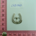 CKB11463