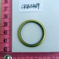 CKB11469