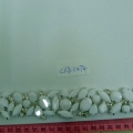 CKB11474