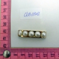 CKB11502