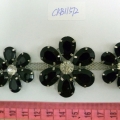CKB11572