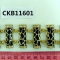 CKB11601