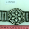CKB11613