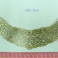 CKB11620