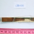 CKB11666