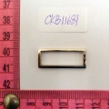 CKB11681