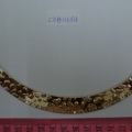 CKB11684