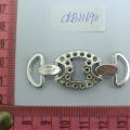 CKB11690