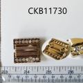 CKB11730