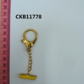 CKB11778