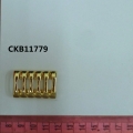 CKB11779
