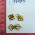 CKB11808