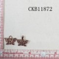 CKB11872