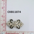 CKB11874