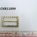 CKB11899