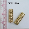 CKB11900