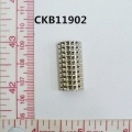 CKB11902