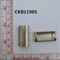 CKB11905