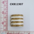 CKB11907