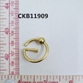 CKB11909
