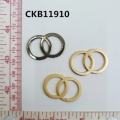 CKB11910