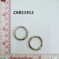 CKB11913