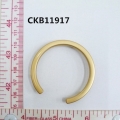 CKB11917