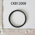 CKB12008