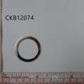 CKB12074