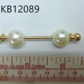 CKB12089