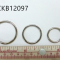 CKB12097