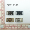 CKB12100
