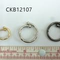 CKB12107