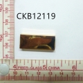 CKB12119