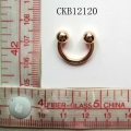 CKB12120