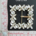 CKB12169