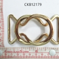 CKB12179